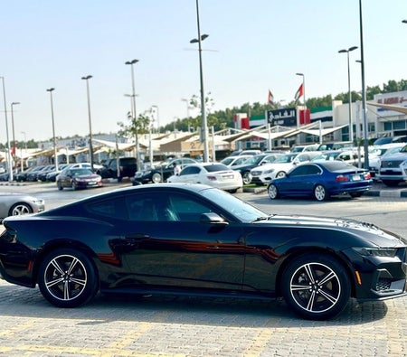 Ford Mustang  2024, photo 4 of 4