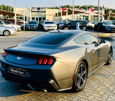 Gray Ford Mustang 2024