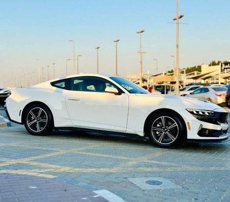 Ford Mustang  2024, photo 4 of 4