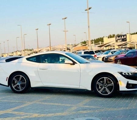 Ford Mustang  2024, photo 4 of 4