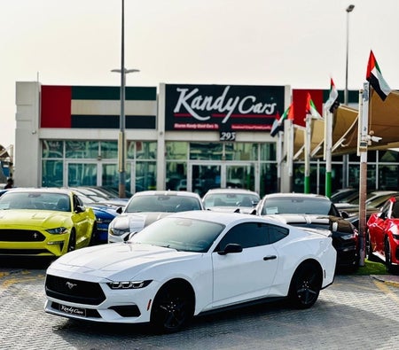 Белый Ford Mustang 2025 год Белый Ford Mustang 2025 год
