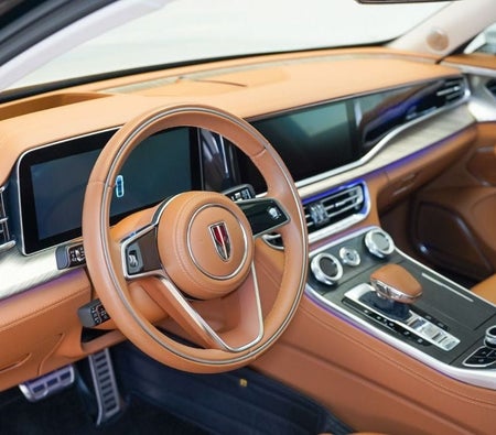 Hongqi H9 2.0  2023, photo 4 of 4