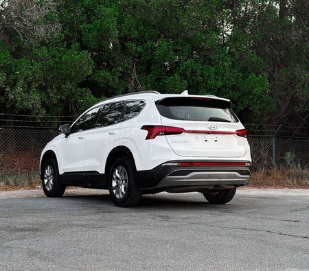 Hyundai Santa Fe 2023, photo 4 of 4