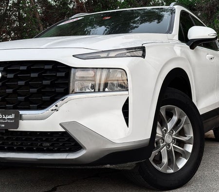 Hyundai Santa Fe 2023, photo 3 of 4