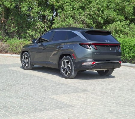 Grau Hyundai Tucson 2022