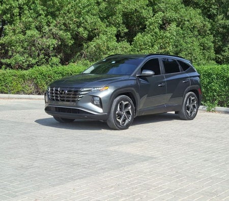 Grau Hyundai Tucson 2022