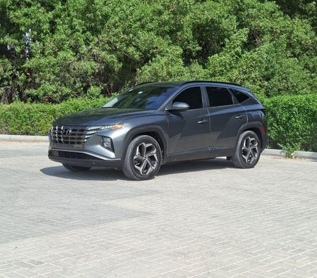 Grau Hyundai Tucson 2022