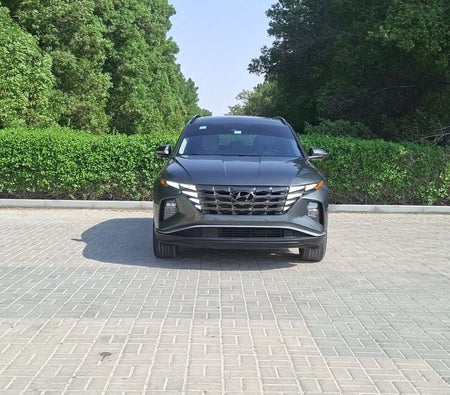 Grau Hyundai Tucson 2022