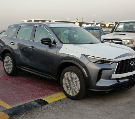 Grau Infiniti QX60 2023 Grau Infiniti QX60 2023