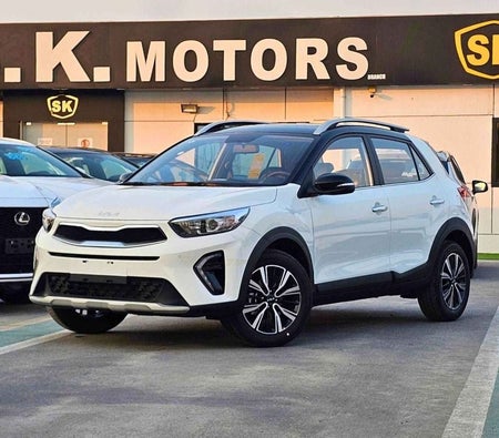 Blanco Kia KX1 2025 Blanco Kia KX1 2025