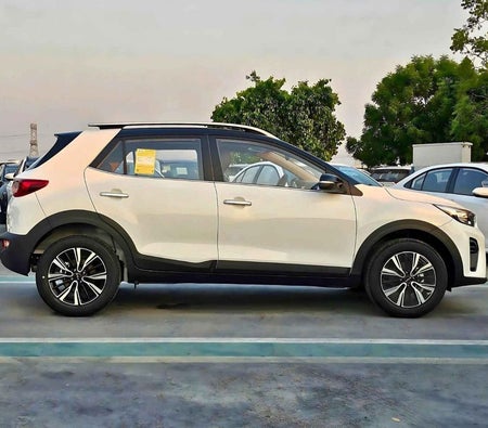 Blanc Kia KX1 2025