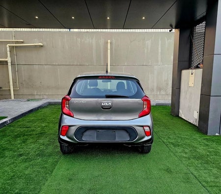 Grigio Kia Picanto 2023