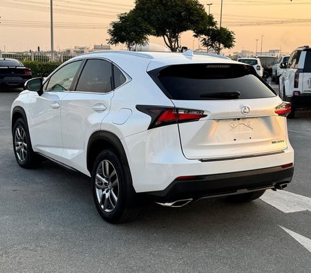 Lexus NX 200t 2015, photo 4 of 4