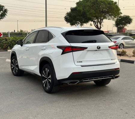Lexus NX 300 2018, photo 3 of 4