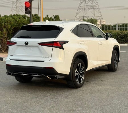 Lexus NX 300 2018, photo 4 of 4