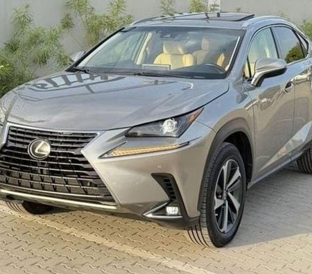 Lexus NX 300 2021, photo 2 of 4
