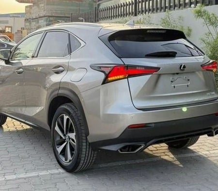 Lexus NX 300 2021, photo 4 of 4