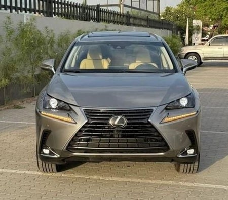 Lexus NX 300 2021, photo 3 of 4