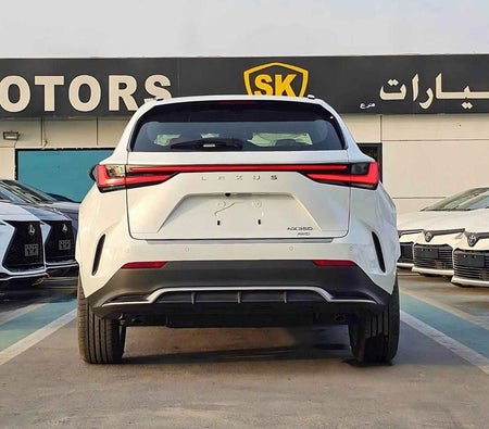 White Lexus NX 350 2024