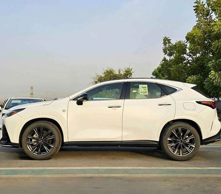 White Lexus NX 350 2024