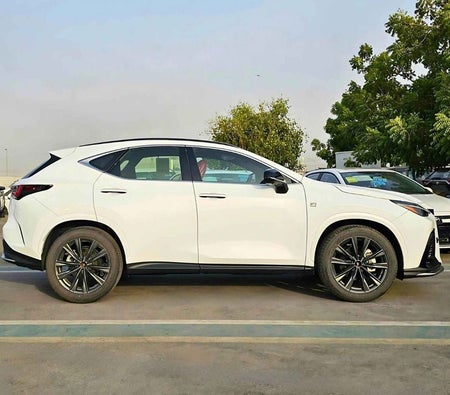 White Lexus NX 350 2024