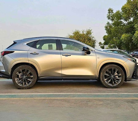 Gray Lexus NX 350 2024