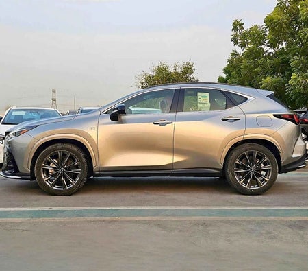 Grau Lexus NX 350 2024 Grau Lexus NX 350 2024