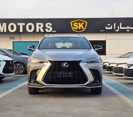 Серый Lexus NX 350 2024 год Серый Lexus NX 350 2024 год
