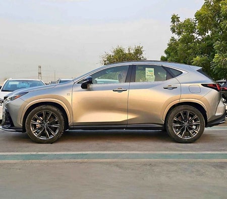 Gray Lexus NX 350 2024