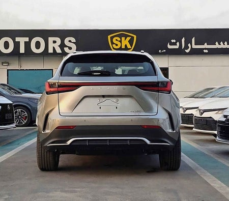 Серый Lexus NX 350 2024 год Серый Lexus NX 350 2024 год