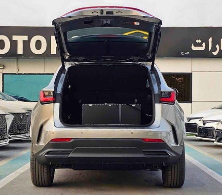 Gray Lexus NX 350 2025