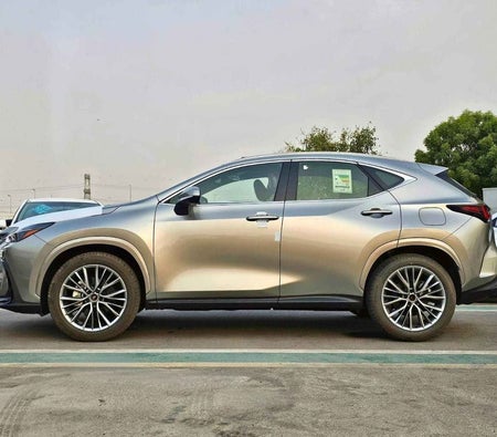 Gray Lexus NX 350 2025