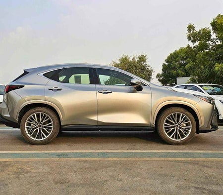 Gray Lexus NX 350 2025