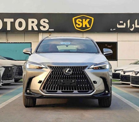 Grau Lexus NX 350 2025 Grau Lexus NX 350 2025