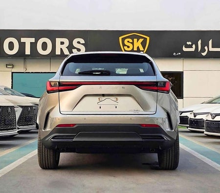Gray Lexus NX 350 2025