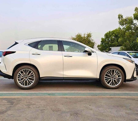 Weiß Lexus NX 350 2025 Weiß Lexus NX 350 2025