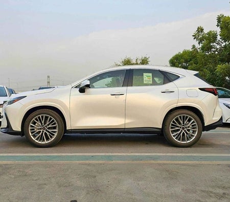 White Lexus NX 350 2025