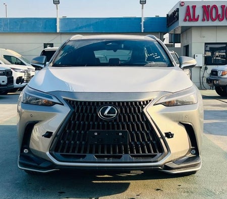 D'argento Lexus NX 350 2026