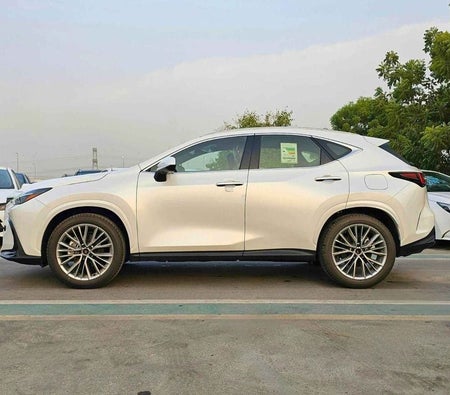 White Lexus NX 350 2026