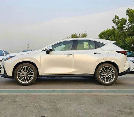 White Lexus NX 350 2026