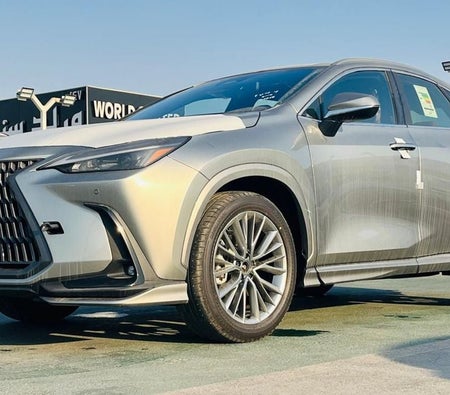 Lexus NX 350  2026, photo 2 of 4