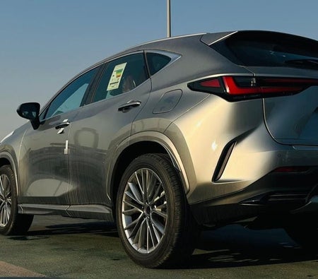 Lexus NX 350  2026, photo 3 of 4