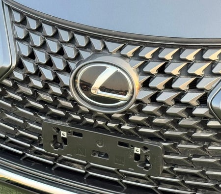 Grigio Lexus UX300h Premier 2025