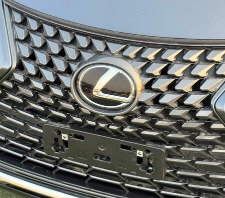 Grigio Lexus UX300h Premier 2025 Grigio Lexus UX300h Premier 2025