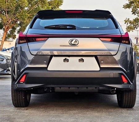 Grigio Lexus UX300h Premier 2025