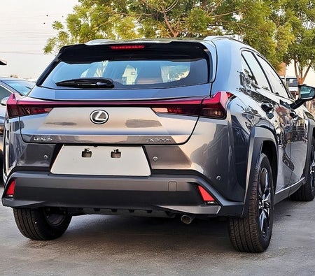 Grigio Lexus UX300h Premier 2025 Grigio Lexus UX300h Premier 2025
