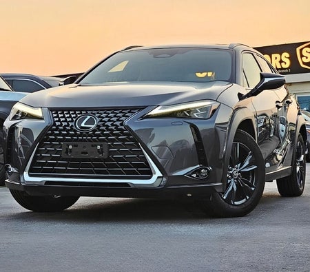 Grigio Lexus UX300h Premier 2025 Grigio Lexus UX300h Premier 2025
