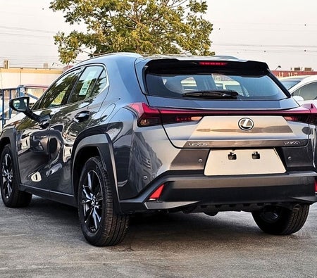 灰色的 雷克萨斯 UX300h Premier 2025