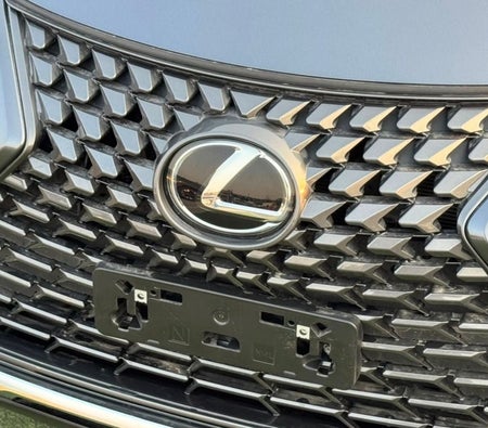 Серый Lexus UX300h Premier 2025 год