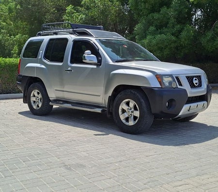 Silber Nissan Xterra 2010